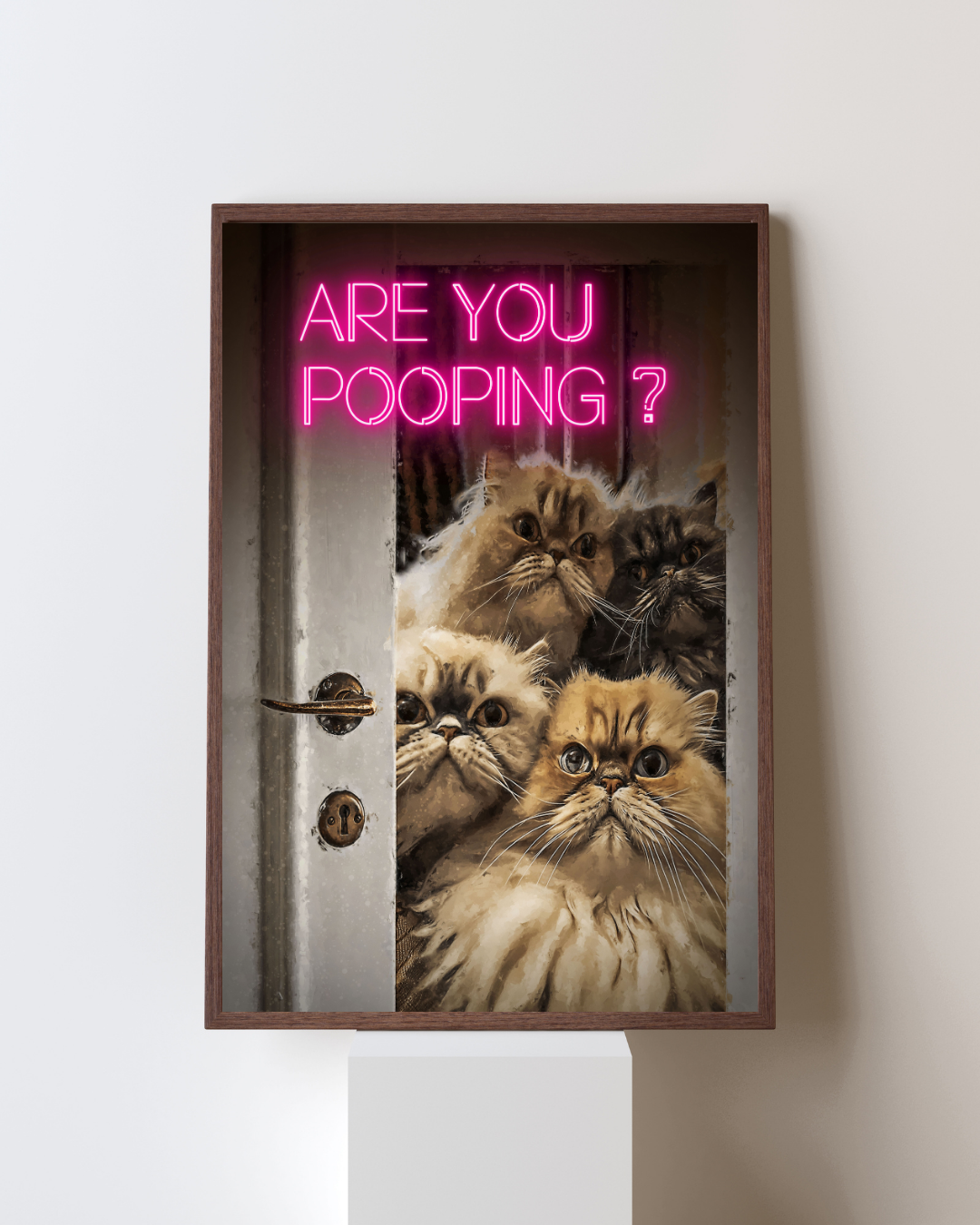 Curious Cats – Are You Pooping?