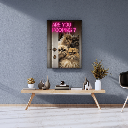Curious Cats – Are You Pooping?