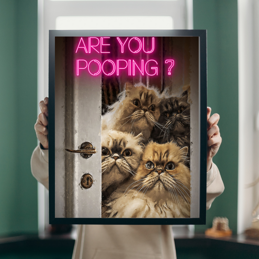 Curious Cats – Are You Pooping?